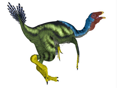 Caudipteryx是一种偷蛋龙喙肉食恐龙图片