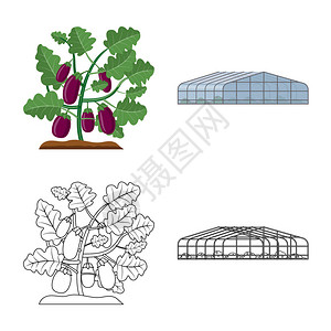 温室和植物标志的矢量图解温室和花园库存图片