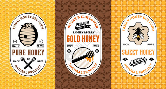 用于蜂房和养蜂产品牌和身份的蜂蜜徽标和包装设计模板矢量蜂图片