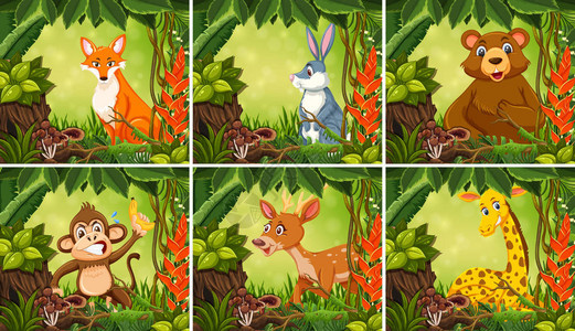 丛林背景插图中的异国动物图片