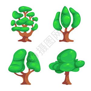 树形和自然符号的孤立对象采集树状和树冠矢量图图片