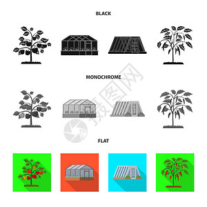 温室和植物标志的矢量说明图片