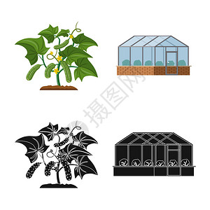 温室和植物标志的矢量设计图片