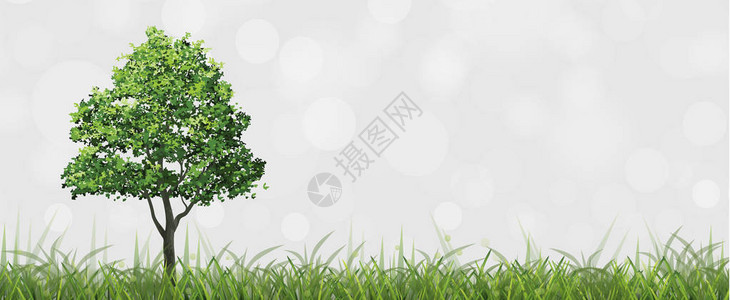 绿地树上有bokeh背景的背景图片