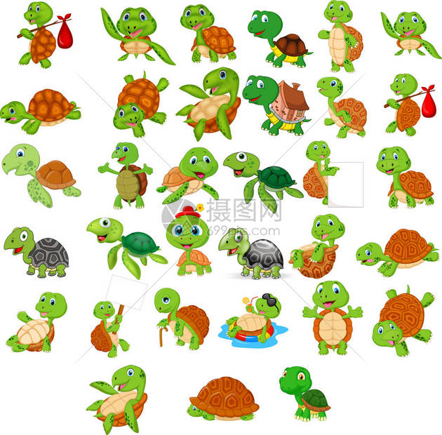 卡通乌龟收藏集的矢量图解图片