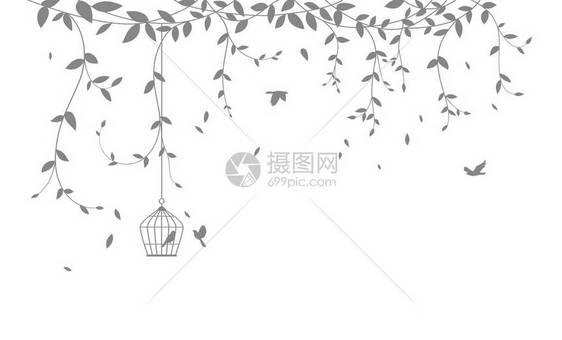 用于壁纸贴标签的美丽树枝和鸟类双光背图片