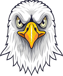 卡通鹰头吉祥物图片