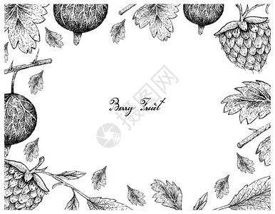 贝里果手绘草莓和白底金浆的插图框架图片