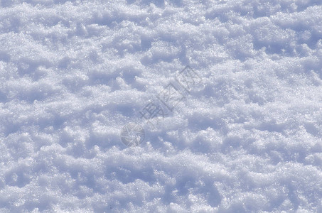 新鲜雪的背景抽象的圣诞背景图片