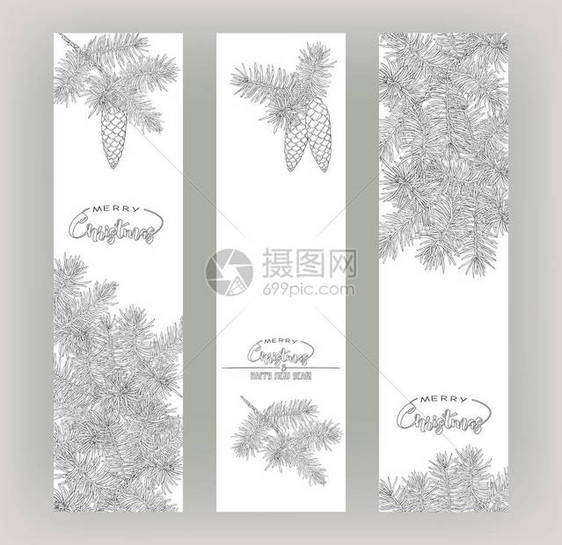 冷杉树枝圣诞和新年贺卡模板或销售横幅礼券在白色背景上隔离轮图片