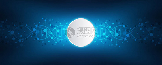 DNA链和分子结构基因工程或实验室研究医疗或科技设计的背景图片