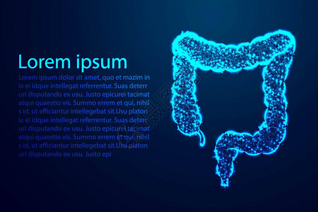 结肠道消化系统人体解剖学抽象低聚三角形点线多边形闪耀蓝色图片