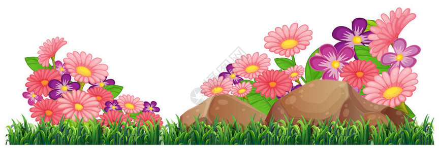 孤立美丽的花卉模板插图图片
