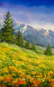 画布上的原创油画山中的花草甸插图美丽的花田景观现图片