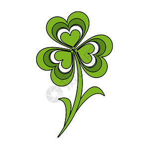 Shamrock幸运叶矢量图片