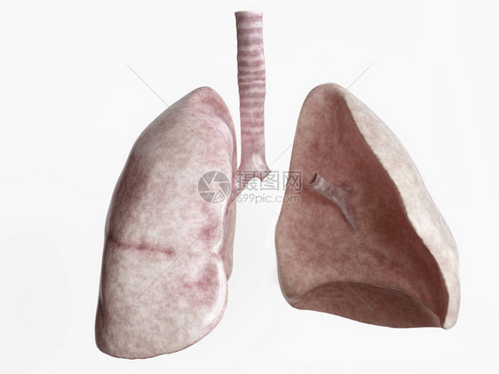 严重肺部疾病后的全肺切除术4of图片