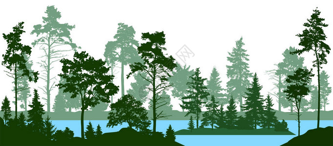 常绿针叶林有松树杉树圣诞树松苏格兰冷杉森林剪影树湖河矢量背景图片