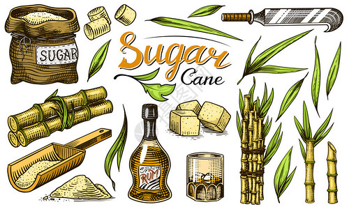 蔗糖与叶子甘蔗植物组茎和瓶朗姆酒木盘勺立方体和果汁竹子招牌铭文雕刻手绘食图片