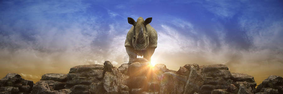 日落时的犀牛3d渲染图片