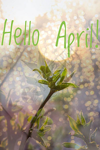 横幅你好四月你好春天四月你好欢迎卡我们正在等待新的春天春月春背景图片