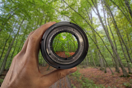 通过摄影师手中的相机镜头对绿色森林的抽象视图与模糊的树木摄影和摄图片