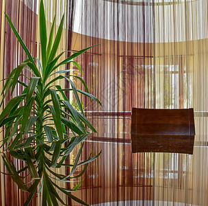 绿植物窗帘和椅子背面的抽象场景图片