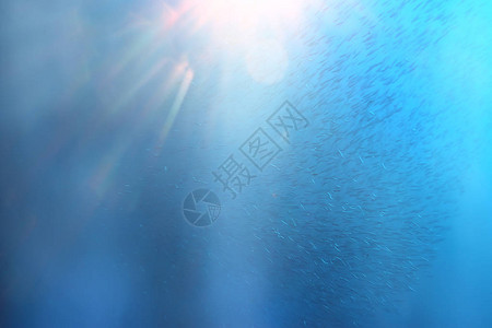 蓝海蓝海抽象背景阳光明图片