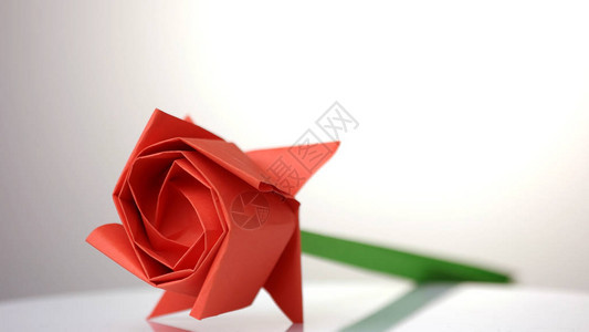 红玫瑰花贴近了纸折展白图片