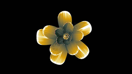 鲜花插图被孤立在新的优质的节日天然花朵冷却的4k图片
