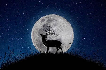 鹿站在山上一个大月亮背景在满天繁星的夜晚图片