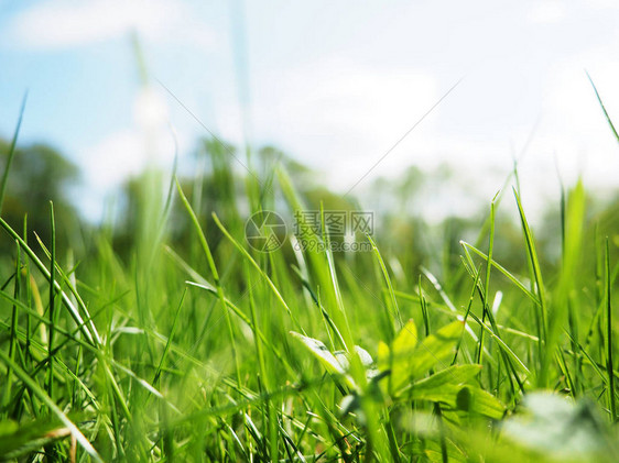 抽象自然背景与美丽散景艺术抽象春天背景或夏天图片