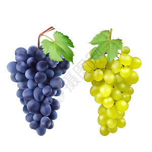 红色和白色的鲜食葡萄图片