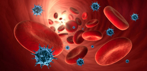 红血细胞和图片