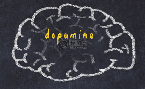 在黑板上绘制人脑上面刻有多巴胺图片