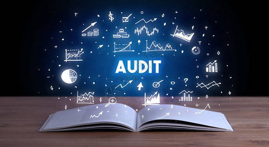 AUDIT从一本公开的书商业概念中产图片