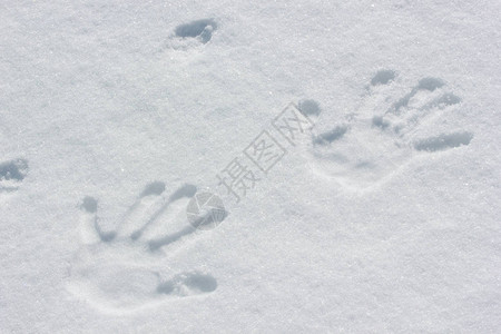 灾害预警雪地里的人类手印插画