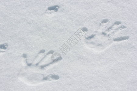 雪地里的人类手印图片