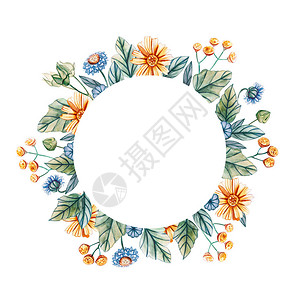 水彩野花卉圆形框架有文字的地方白色背景上的花朵婚礼请柬图片
