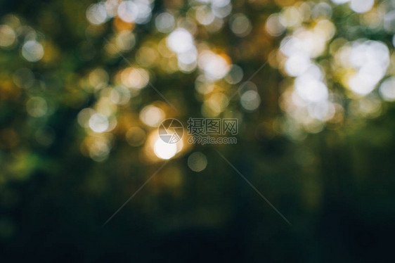 秋天的抽象背景美丽的阳光和秋叶的模糊图像落在森林里宁静的时刻图片