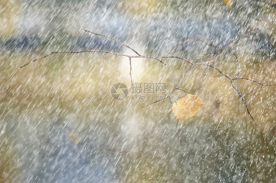 秋雨背景下降雨天抽象秋季景观公图片