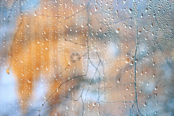 雨窗秋天公园枝叶黄色抽象秋天背景图片