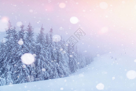 神秘的冬季景观雄伟的山脉在冬天神奇的冬天白雪覆盖的树照片贺卡散景灯光效果图片