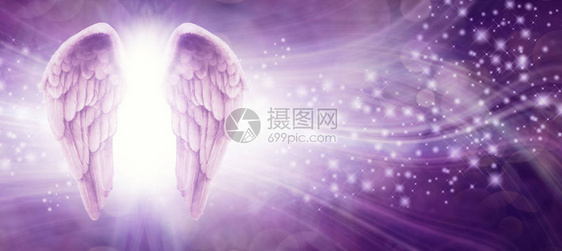 紫色闪光天使之翼留言板图片