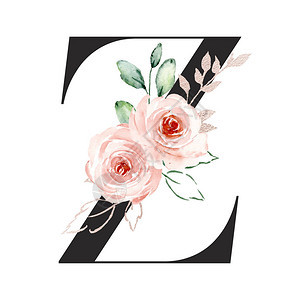 水彩画带花叶的字母ZZ图片