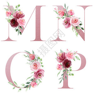花卉字母字母MNOP创图片