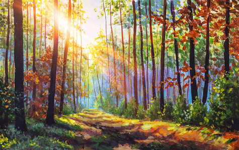 秋天的油画有阳光的秋天森林森林中的小径背景图片