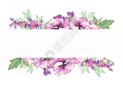 水彩花卉框架图片