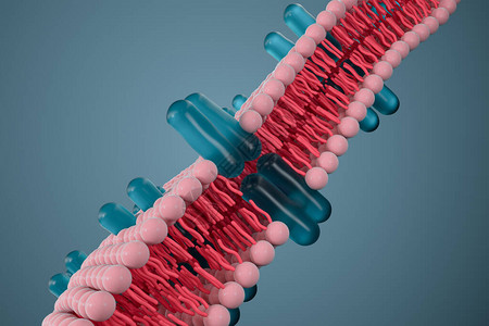 细胞膜和生物学生物概念3D成像计图片