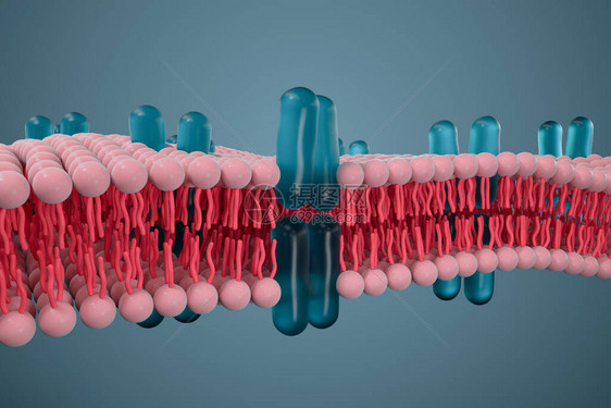 细胞膜和生物学生物概念3D成像计图片