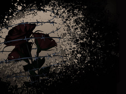 一支黑色玫瑰花图片